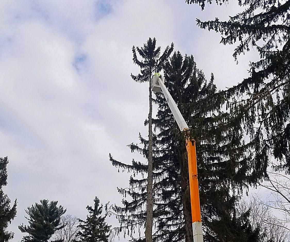 Aerial Bucket Service
