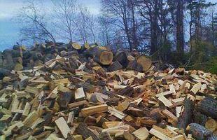 huge pile of firewood