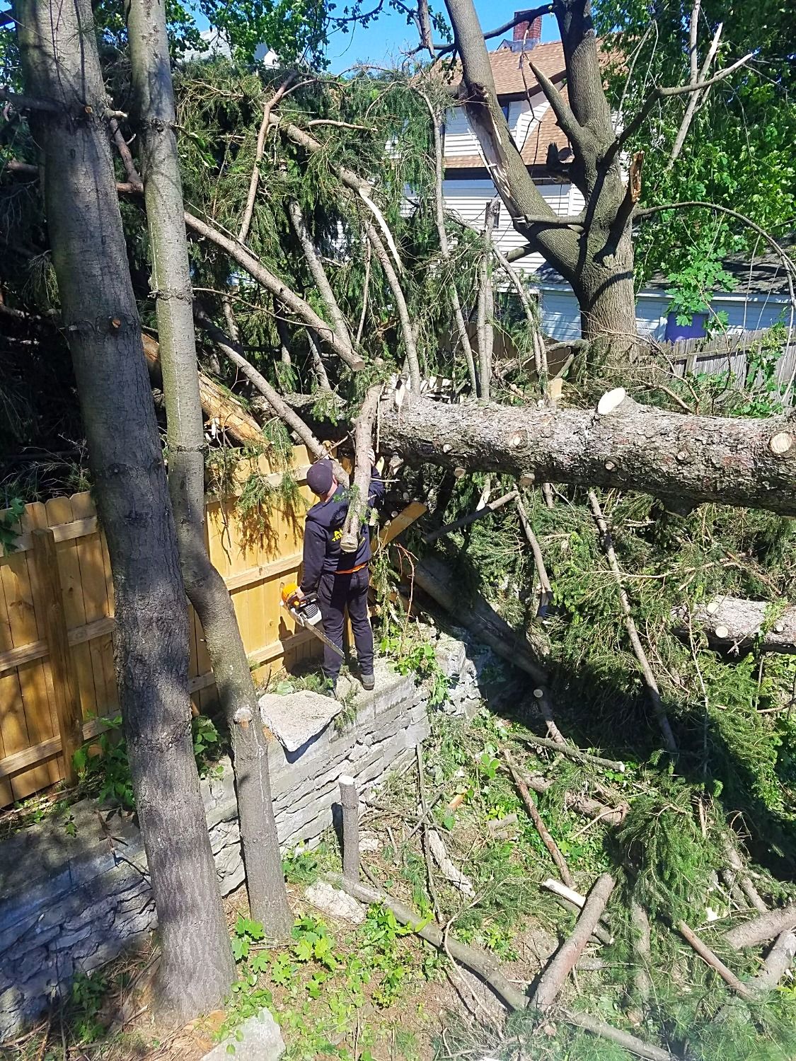 Tree fell down on fence causing damage in NY