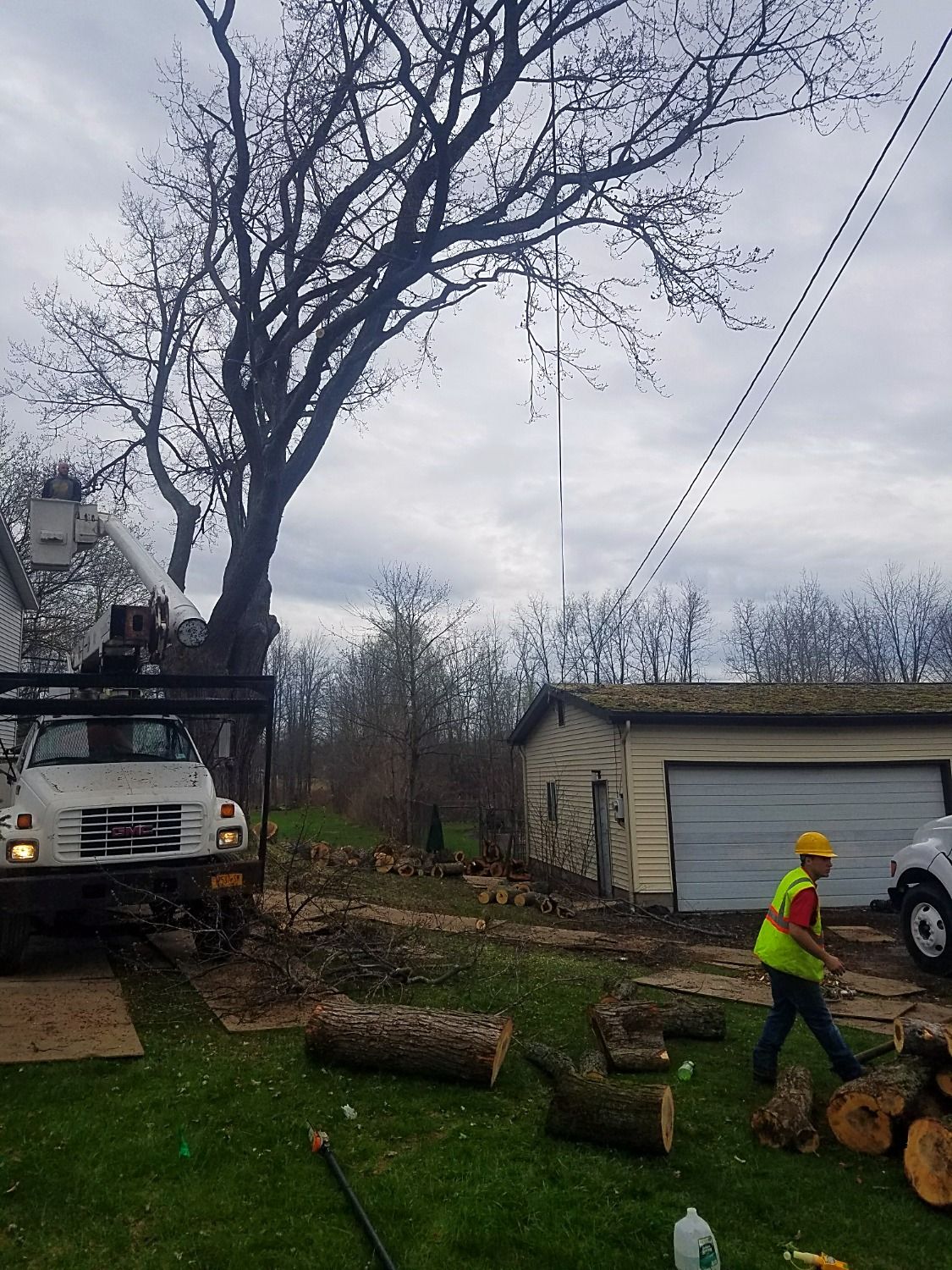 Tree limbs removed from tree hanging over roof