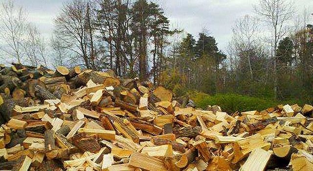 large pile of firewood in Fulton, NY