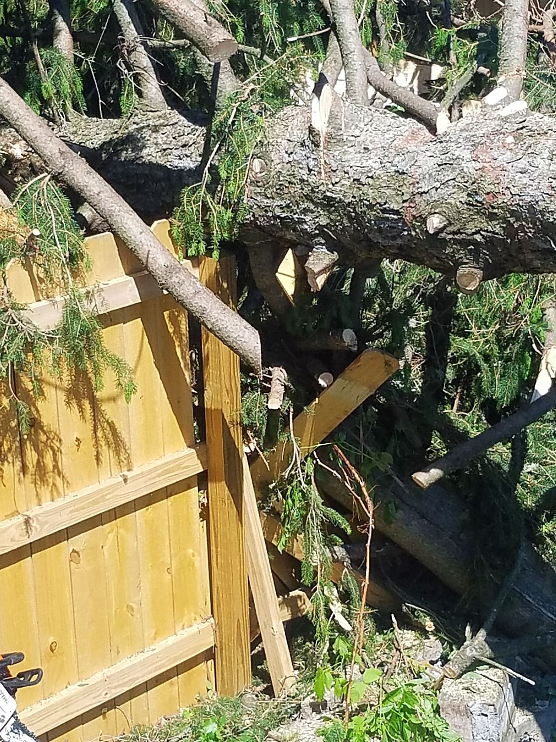 Tree crashed into house fence and caused damage