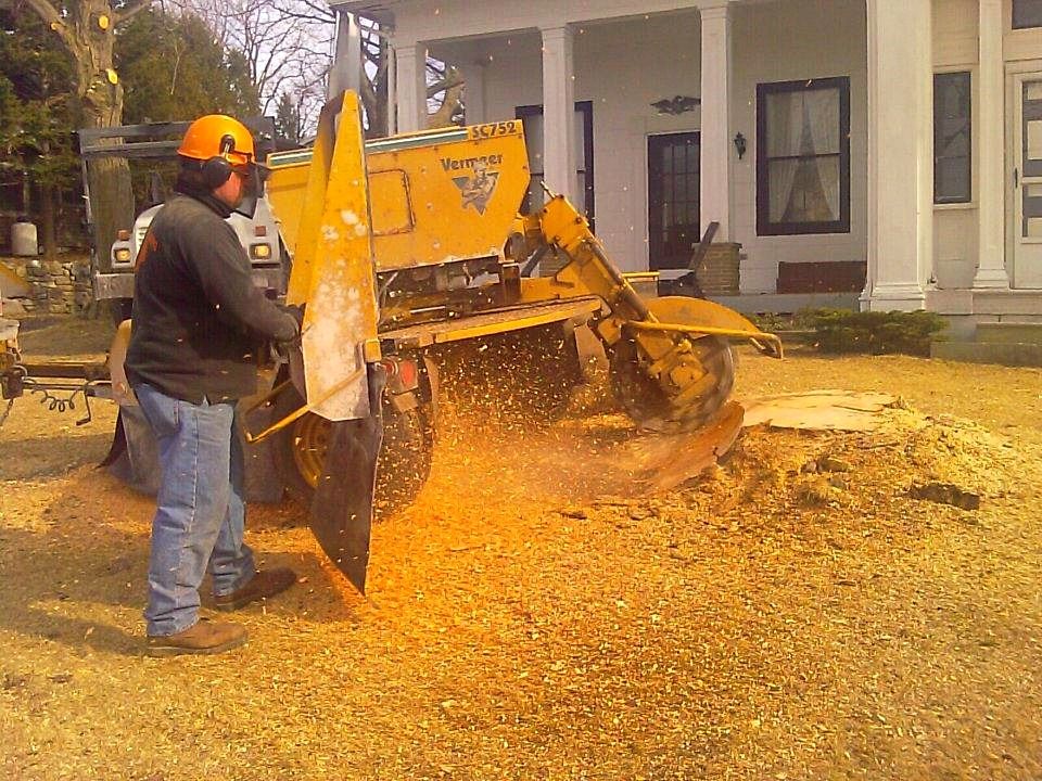 removing a tree stump with a stump grinder in NY
