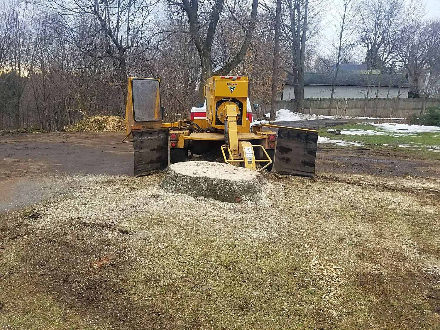 professional stump grinder at work