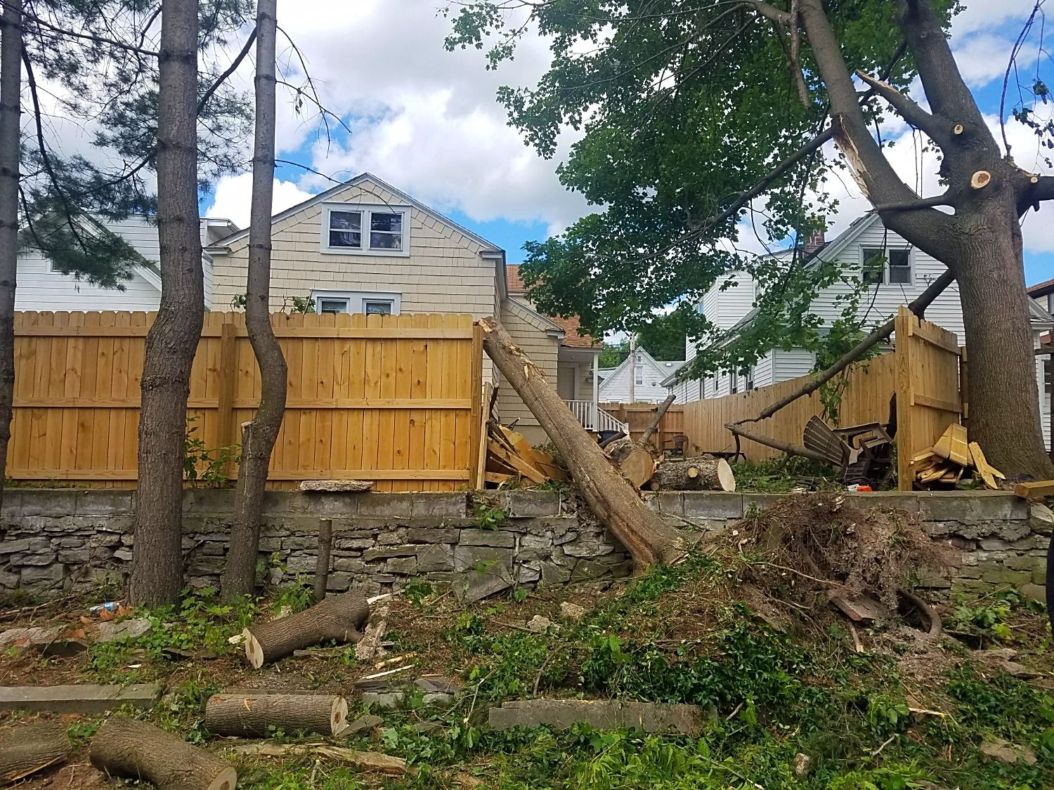 strong winds uprooted tree and knocked out fence