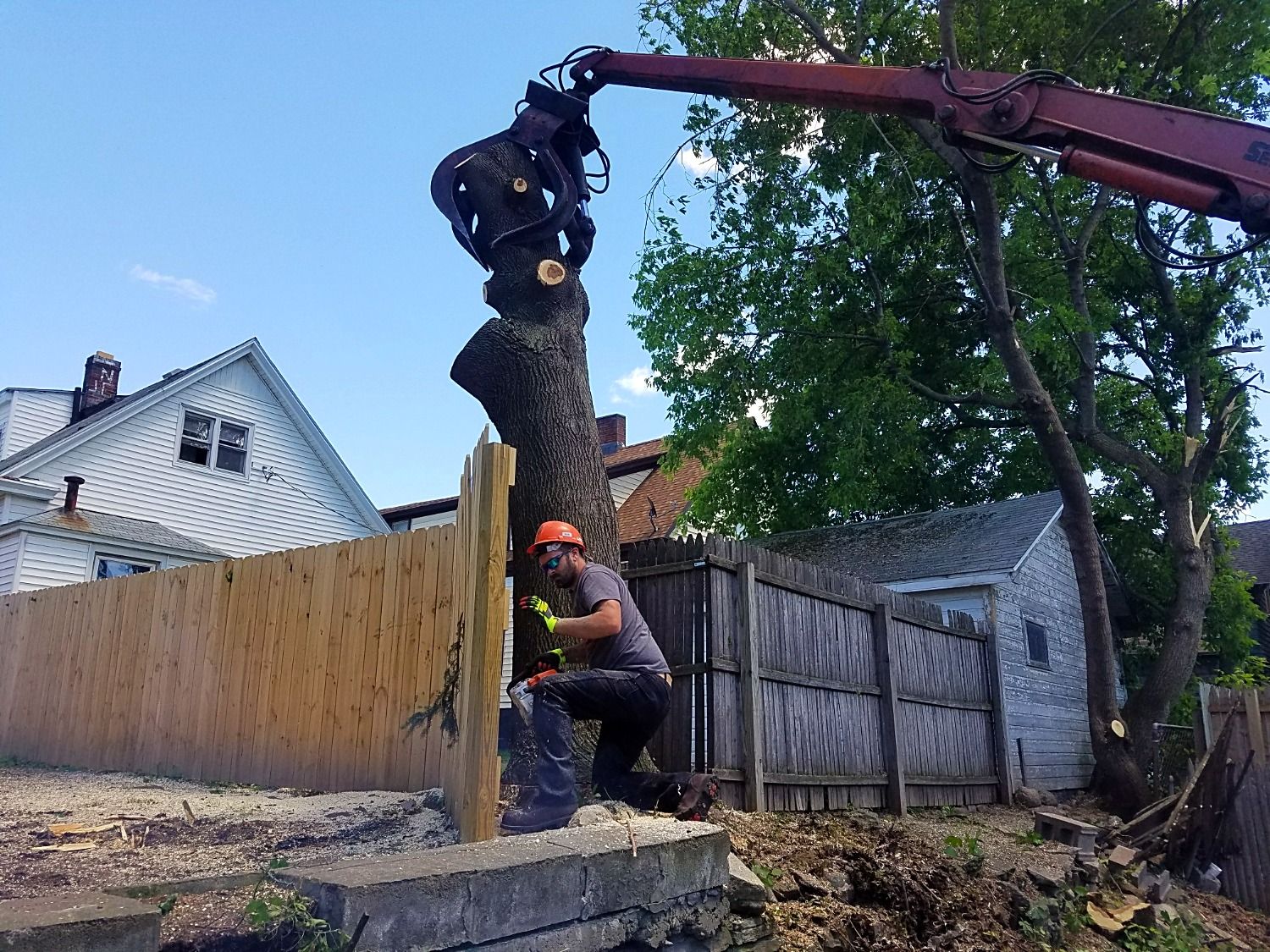 getting ready to remove tree