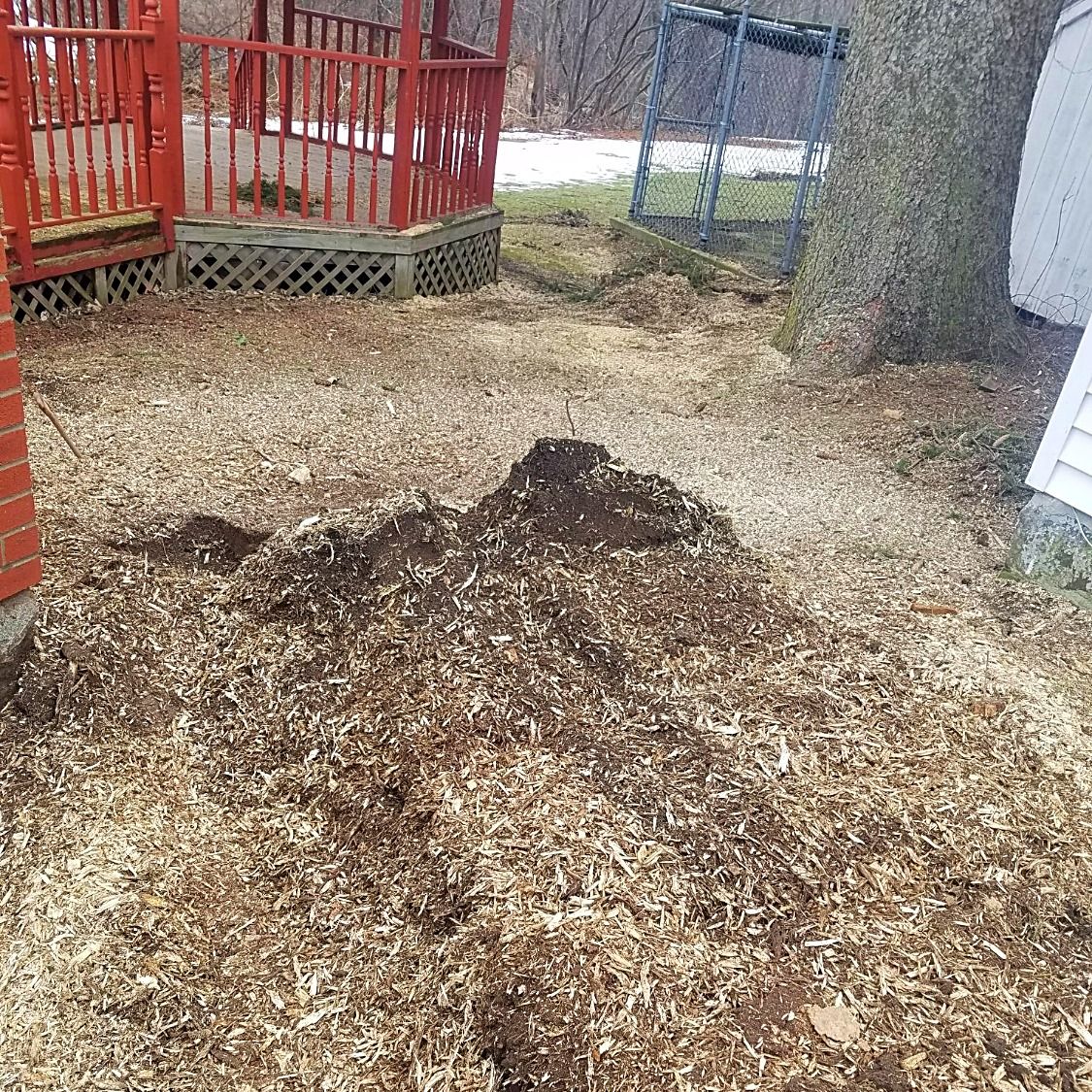 Stump completely removed with stump grinder